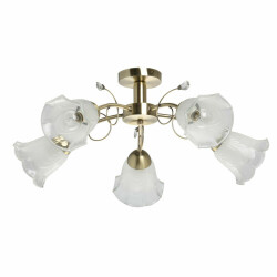 Фото Люстра Флора 670011005