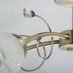 Фото 4 Люстра Флора 670011005