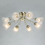 Фото 1 Люстра Флора 670011108