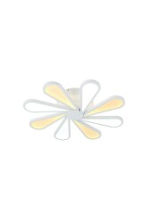 Фото Lucia Tucci Miracoli 201.8 LED