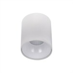 Фото CL7440100 Старк Белый+Белый Св-к Потол. 12W*3500K