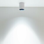 Фото 3 CL7440101 Старк Белый+Черный Св-к Потол. 12W*3500K