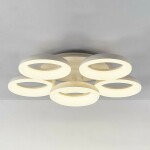 Фото 4 CL225A160E Паркер Белый Смарт RGB Св-к Люстра