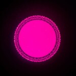 Фото 3 CL718A12G Альпина Смарт RGB Св-к