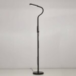 Фото 3 CL804021 Марк Черный Св-к Торшер