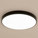 Фото 3 CL724105G1 Купер Черный Св-к Потол. с RGB