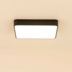 Фото 3 CL724K70G1 Купер Черный Св-к Потол. с RGB