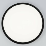 Фото 4 CL738321VL Бейсик Лайн Черный Св-к Накл. LED 40W*Мульти