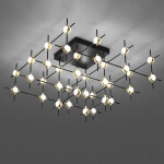 Фото 1 Потолочный светильник Molecular 36 black/gold