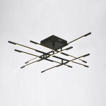 Фото 1 Потолочный светильник MX18001070-12A black