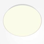 Фото 4 Потолочный светильник Technical C032CL-90W3K-RD-W