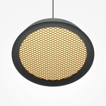 Фото 4 Подвесной светильник Maytoni MOD041PL-L15GB3K