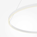 Фото 1 Подвесной светильник Maytoni MOD058PL-L54WK