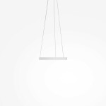 Фото 3 Подвесной светильник Maytoni MOD058PL-L22WK