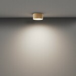 Фото 3 Потолочный светильник Technical C032CL-12W4K-RD-MG