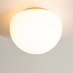 Фото 1 Потолочный светильник Maytoni MOD270CL-01G