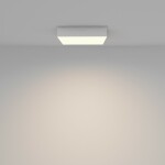 Фото 3 Потолочный светильник Technical C032CL-36W3K-SQ-W