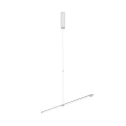 Фото Подвесной светильник Maytoni P096PL-L11WK