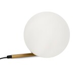 Фото 3 Настольный светильник Freya FR5259TL-01BS