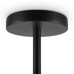 Фото 3 Подвесной светильник Freya FR5201PL-06B