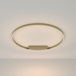 Фото Потолочный светильник Maytoni MOD058CL-L65BS3K