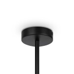 Фото 4 Подвесной светильник Maytoni MOD177PL-04B