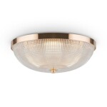 Фото Потолочный светильник Maytoni C046CL-03G