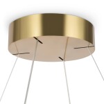 Фото 3 Подвесной светильник Maytoni MOD173PL-L45BS3K