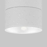 Фото 2 Потолочный светильник Outdoor O310CL-L12W3K