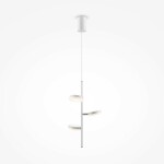 Фото 1 Подвесной светильник Maytoni MOD070PL-L18WK