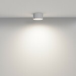 Фото 4 Потолочный светильник Technical C032CL-12W4K-RD-W