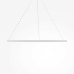 Фото 3 Подвесной светильник Maytoni MOD058PL-L65WK