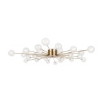 Фото 3 Потолочный светильник Freya FR5242CL-24BS1