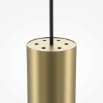 Фото 4 Подвесной светильник Maytoni MOD161PL-01G1