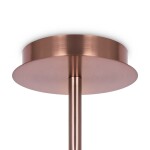 Фото 4 Подвесной светильник Maytoni MOD221PL-10G