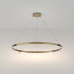 Фото 1 Подвесной светильник Maytoni MOD058PL-L54BS4K