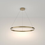 Фото 1 Подвесной светильник Maytoni MOD058PL-L42BS4K