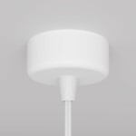 Фото 4 Подвесной светильник Technical P038PL-01W