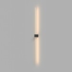 Фото 2 Настенный светильник (бра) Technical C071WL-L12GB3K