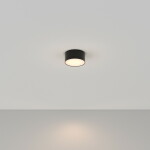 Фото 1 Потолочный светильник Technical C032CL-L12B3K