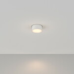 Фото 1 Потолочный светильник Technical C032CL-L12W3K