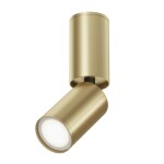 Фото 2 Потолочный светильник Technical C051CL-01G