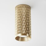 Фото 1 Потолочный светильник Technical C036CL-01G