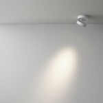 Фото 3 Потолочный светильник Technical C022CL-L7W4K