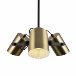 Фото 1 Подвесной светильник Freya FR4004PL-03BBS